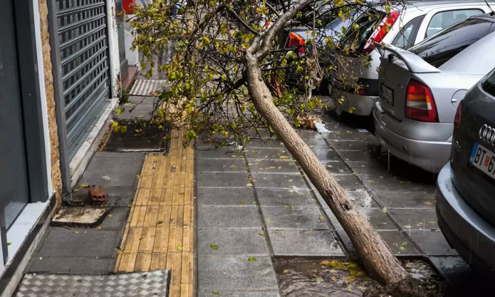 Μήνυμα του 112 και στο Βόλο λόγω της κακοκαιρίας Bora-"Τα έντονα καιρικά φαινόμενα θα συνεχιστούν"